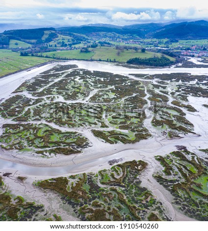 Low tidal marsh landscape of Marismas de Santoña, Victoria y Joyel Wetland Natural Park of Cantabria Autonomous Community of Spain, Europe