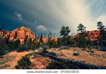 Red Sand Canyon Park, with pine trees and cloudy sky.	