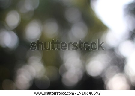 White and green abstract background bokeh from natural