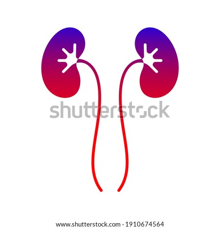 Kidneys icon isolated on white background. for medical sign. vector illustration