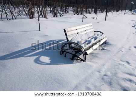 wooden benches in the snow winter park landscape