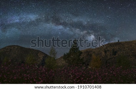 Beautiful clear night sky with mountain and wild flowers foreground 