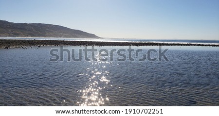 Scenery of Malibu Lagoon State Beach in central Malibu California