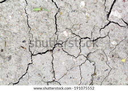 Cracked soil - texture and background 