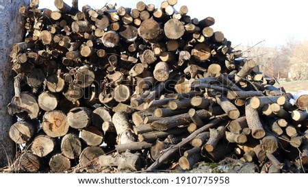 uneven woodpile of round logs of different sizes, sawn and visible with texture cuts, firewood piled under a tree at the edge of the backyard in a rural or country landscape, peasant life