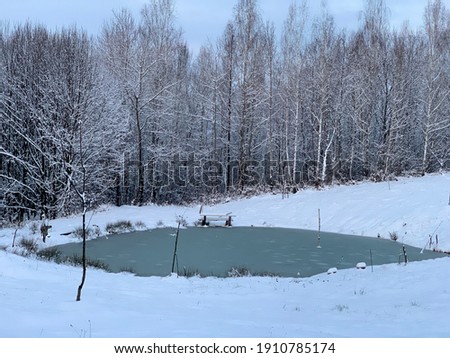 Frozen lake against the background of a forest in the mountains. Winter lake among the snowy forest. The beauty of the winter nature of the Carpathians.