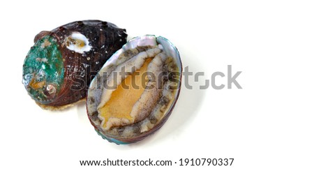 Close up of raw abalones with copy space isolated on white background, selective focus. 