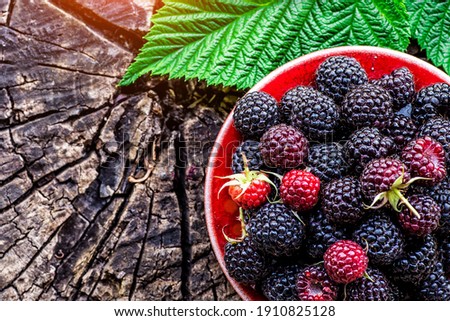 Ripe raspberry in wooden rustic bowl on table.Organic berries with peduncles and green leaves on a wooden table, top view.Summer berry harvest. Royalty-Free Stock Photo #1910825128