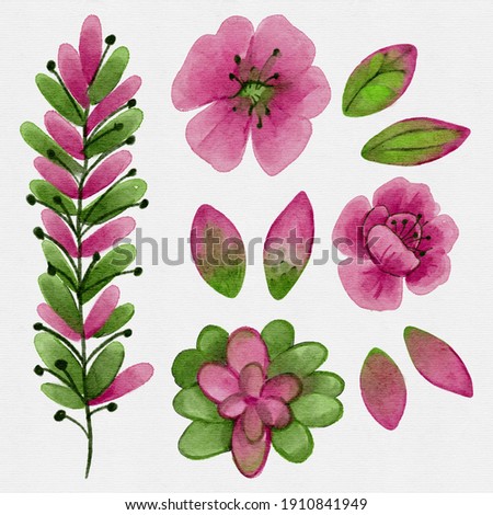 Hand Drawn Floral Elements Set.  Watercolor Botanical Illustration of Flowers and Leaves. Decorative Objects Isolated on White.