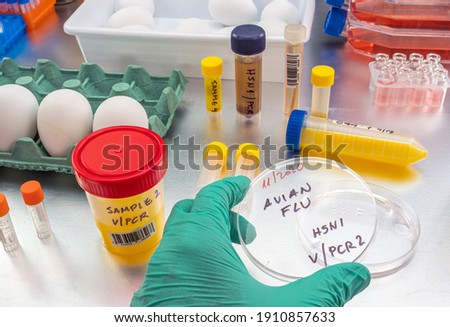 Scientific sampling of eggs in poor condition, analysis of avian influenza in humans, conceptual image Royalty-Free Stock Photo #1910857633