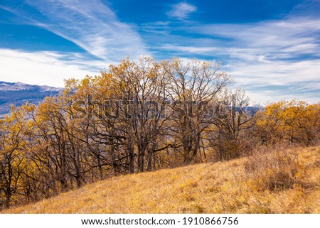 Beautiful landscape in autumn mountains. Northern country Russia Caucasus. Nature amazing panorama. Ecology fresh air. Inspiring freedom scenery. Travel view.