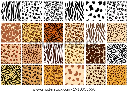 Animal seamless pattern set. Mammals Fur. Collection of print skins. Predators. Cheetah, Giraffe, Tiger, Zebra, Leopard, dalmatian, Сattle, Jaguar. Printable Background. Vector illustration. Royalty-Free Stock Photo #1910933650