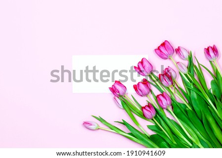 Tulip flowers Arrangement. Flower border with white horizontal greeting card, blank copy space on pink pastel background. Tulpis for Mothers day, Valentines Day, Birthday Greeting card
