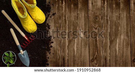Little seedling in black soil next to the garden rake,shovel and boots.Spring planting.Garden and vegetable garden.Arbor Day.
Earth day concept.top view.Flat lay. banner.Copy space. Royalty-Free Stock Photo #1910952868