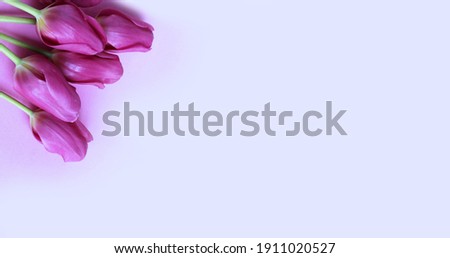 A bouquet of crimson tulips on a pink background. Background for greeting cards, invitations.