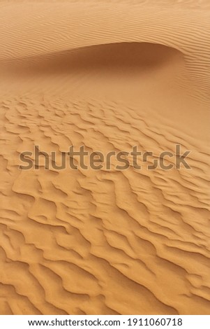 Waves of sand texture. Dunes of the desert. Beautiful structures of sandy barkhans.