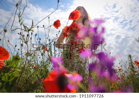 silhouette of a girl with a bouquet of poppies on a background of blue sky. photo taken through flowers. Happy women