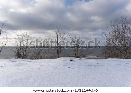 The Baltic Sea beach is snowy white in winter and the trees have no leaves