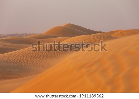 Middle East, Arabian Peninsula, Oman, Ash Sharqiyah North, Bidiya. Sand dunes in the desert of Oman. Royalty-Free Stock Photo #1911189562