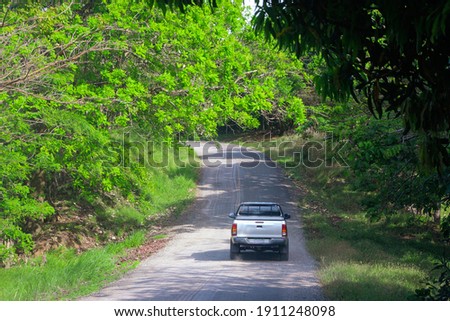 Road to Miguel de la Borda, Colon, Panama - Vehicle pick up truck, driving along a cobblestone road, between Rainforest trees, coastal road Royalty-Free Stock Photo #1911248098