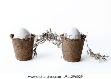 Ecological concept with Easter white eggs in peat pots on a white background.
