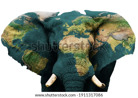 Earth concept, save the animals on planet. Isolated image of elephant with earth painted on skin. Creative composition of animal and earth. Elements of this image furnished by NASA .