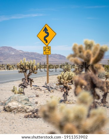 Winding road in Mojave Desert of Joshua Tree National Park, California, USA