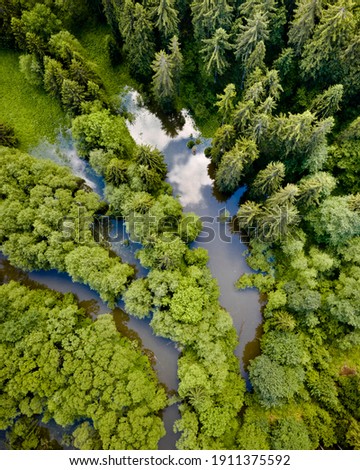 River with a flooded green forest