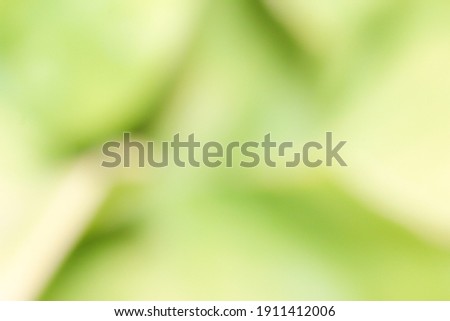 abstract green blurred background of nature 
