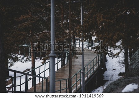 Walking bridge over the forest in winter. Unusual and sometimes gloomy setting gives the picture a special charm and beauty.