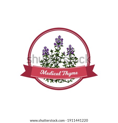 Medical thyme logo with hand drawn elements. Vector illustration in colored sketch style isolated on white background