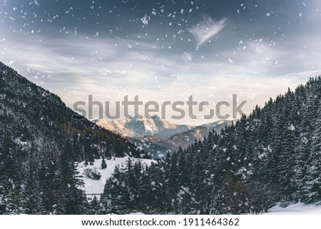 Snow covered landscape on cold and sunny day.Snowflakes in the foreground.Winter image.