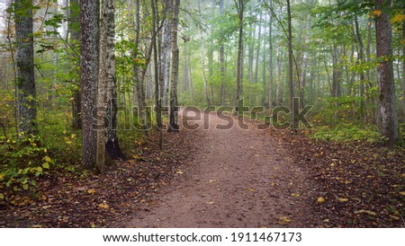Pathway through the forest in a mysterious morning fog, natural tunnel of the colorful trees, soft light. Idyllic autumn scene. Pure nature, ecology, seasons. Atmospheric landscape. Sigulda, Latvia; Royalty-Free Stock Photo #1911467173