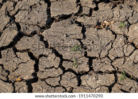 Land with dry and cracked ground. Dried cracked earth soil ground texture background.Global warming background.