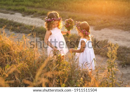 Children pick clover for a bouquet. Girls on a country road with wreaths of flowers on their heads collecting herbarium. Royalty-Free Stock Photo #1911511504