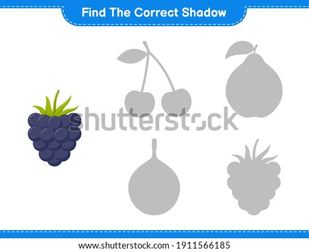 Find the correct shadow. Find and match the correct shadow of Blackberries. Educational children game, printable worksheet, vector illustration
