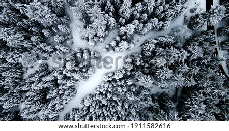 Winter Dream Black Forest from above