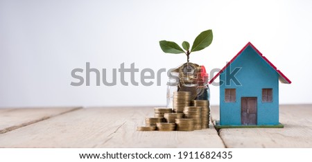 Stacks of Turkish coins, plants and coins in the hive. Saving money to invest in house or property in the future. Skyscrapers in the background Business Finance Concept.