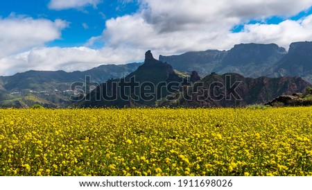 Landscape photos from Gran Canaria