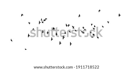 A flock of flying birds. Vector illustration Royalty-Free Stock Photo #1911718522