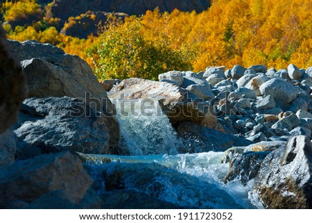 Autumn in the Dombai mountains - a mountain stream. Karachay-Cherkessia, Russia. 