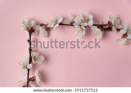 Part of the frame of flowering branches, the corner of the picture. Template.