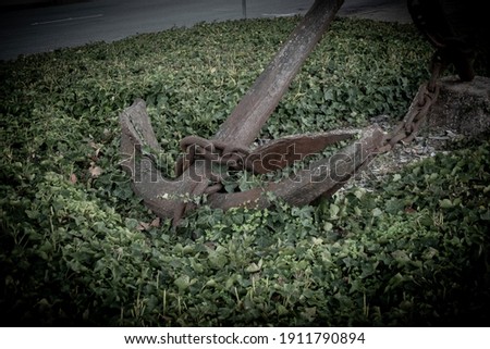 An old monument of an anchor nestled in some ivy with a road in the background with desaturated colors