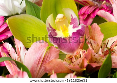Beautiful flowers in a bouquet, floral background.