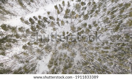 An aerial shot of a forest covered with snow