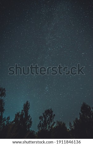 A vertical shot of a starry sky with stars and silhouettes of trees