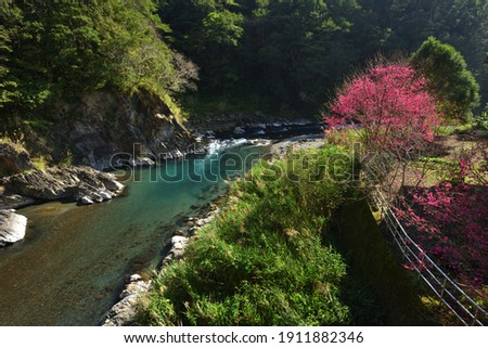 Scenic streams and natural scenery