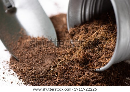 Coco peat for gardening. Coco peat is growing medium made out of coconut husk. Royalty-Free Stock Photo #1911922225