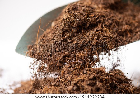 Coco peat for gardening. Coco peat is growing medium made out of coconut husk. Royalty-Free Stock Photo #1911922234