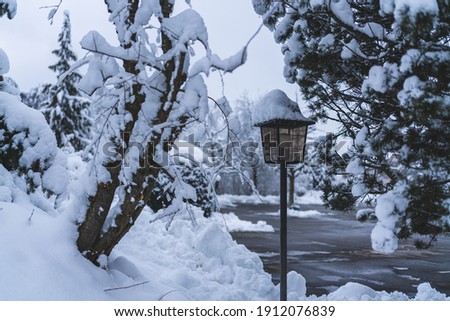 Snow covered lantern in between trees